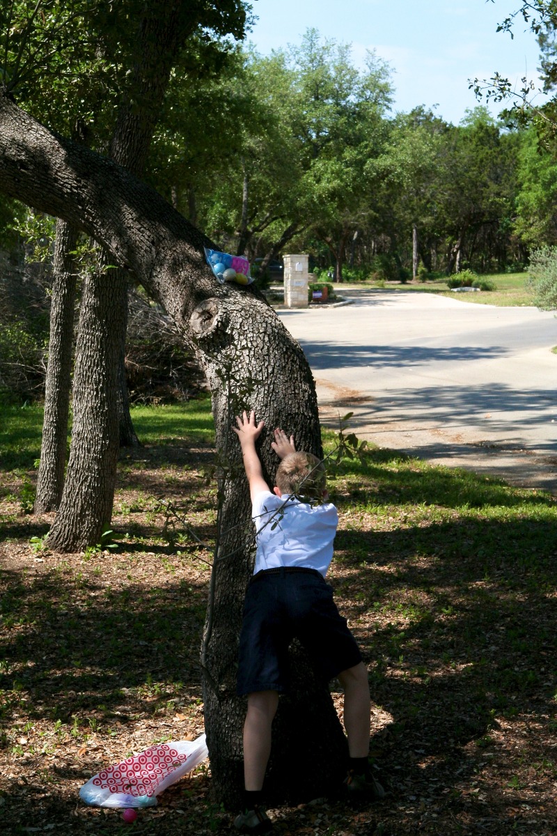 2012-04-08-24-Egg Hunt.jpg